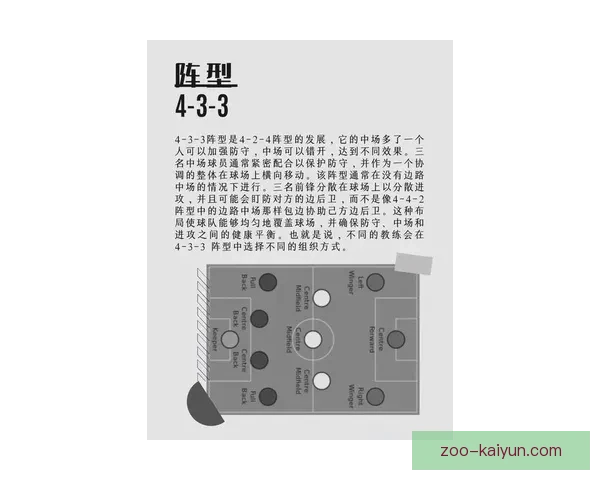 南美足球战术细节解析：近期比赛中的阵型变化与攻防策略